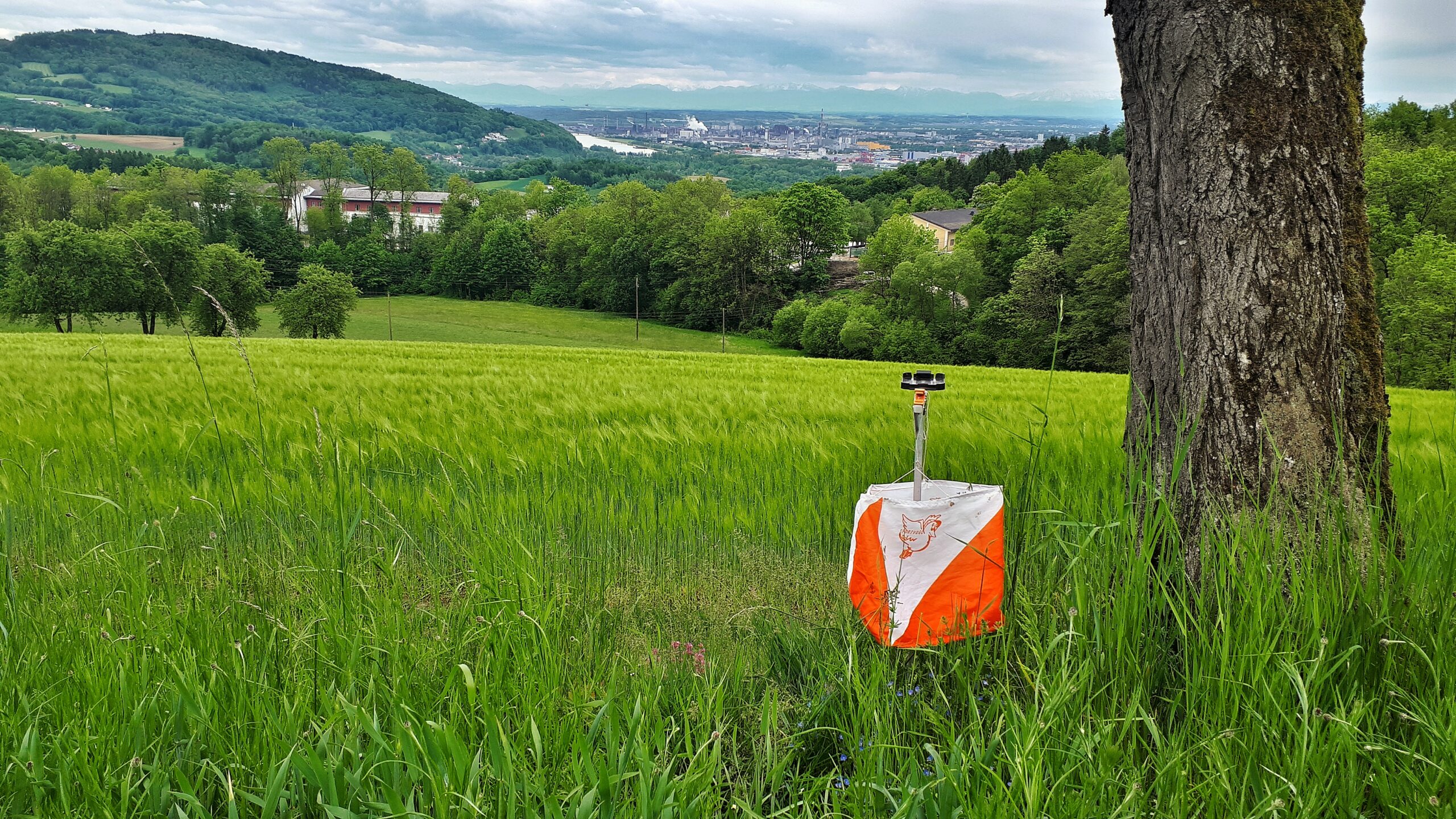 OL NF Linz mit Logo