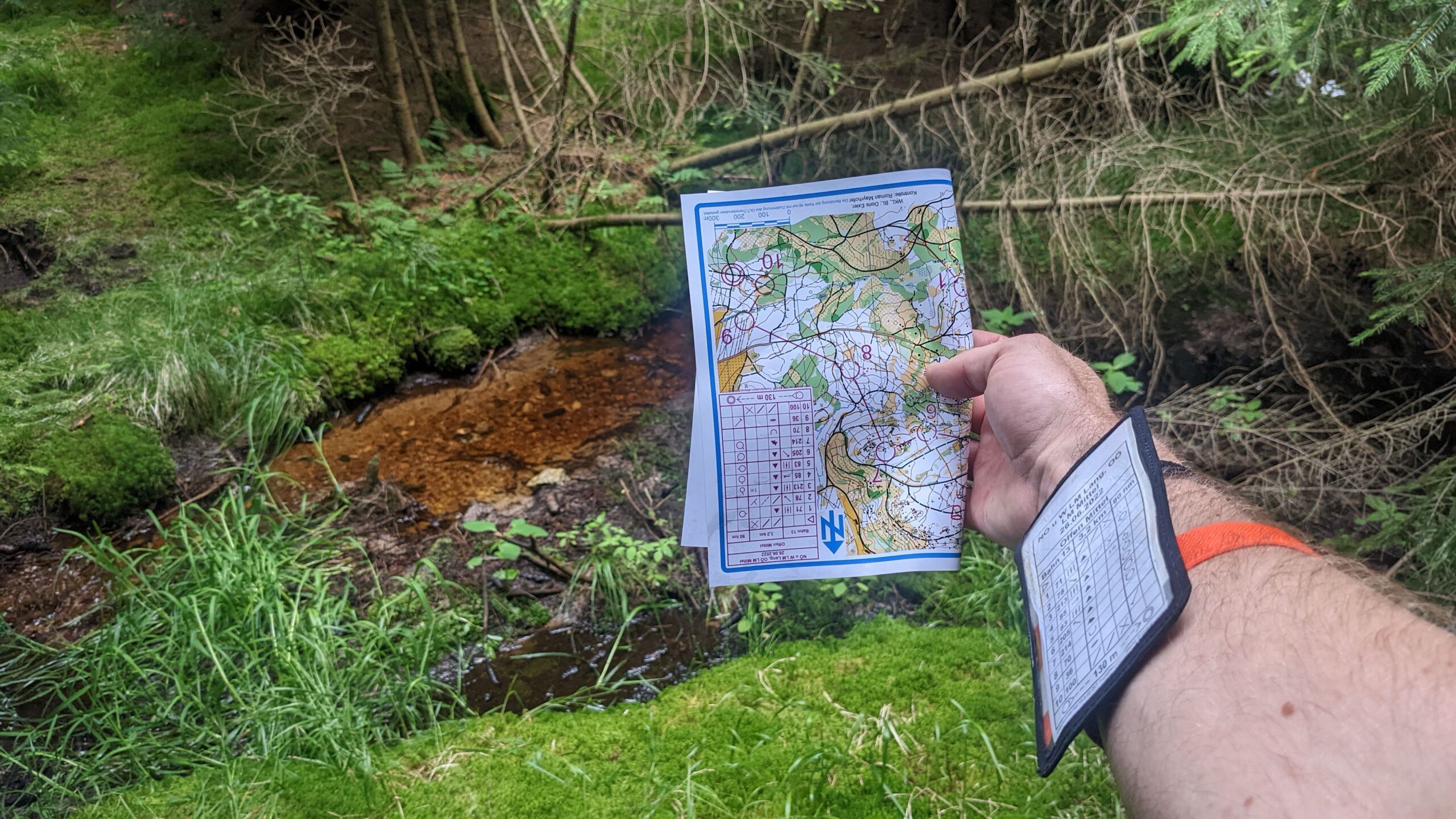 Orientierungslauf Naturfreunde Linz